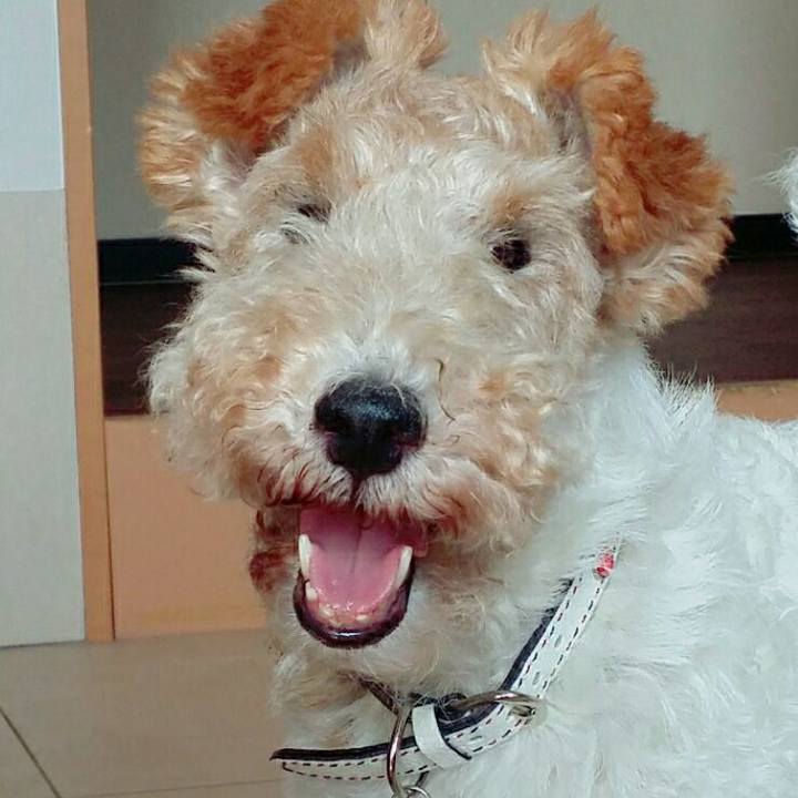 Db0e9c39 1210 4180 988a f09c3d037a58