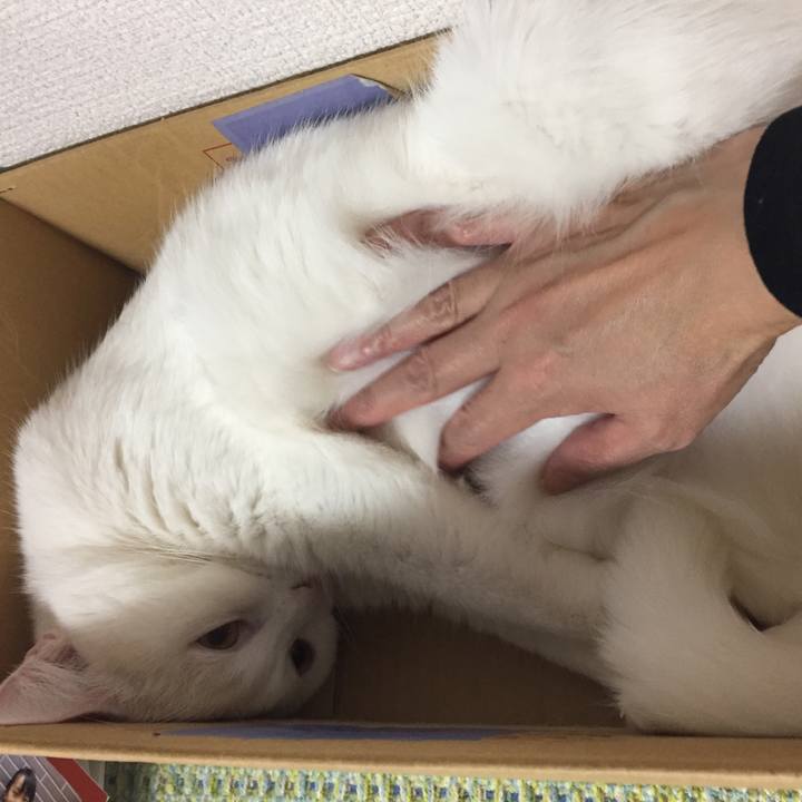 Db0eb9e5 dfd2 47b9 8f2c 7a40433012d8