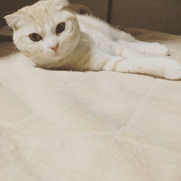 Db0ecd37 b700 49b0 958a dc2ceca9ab3a