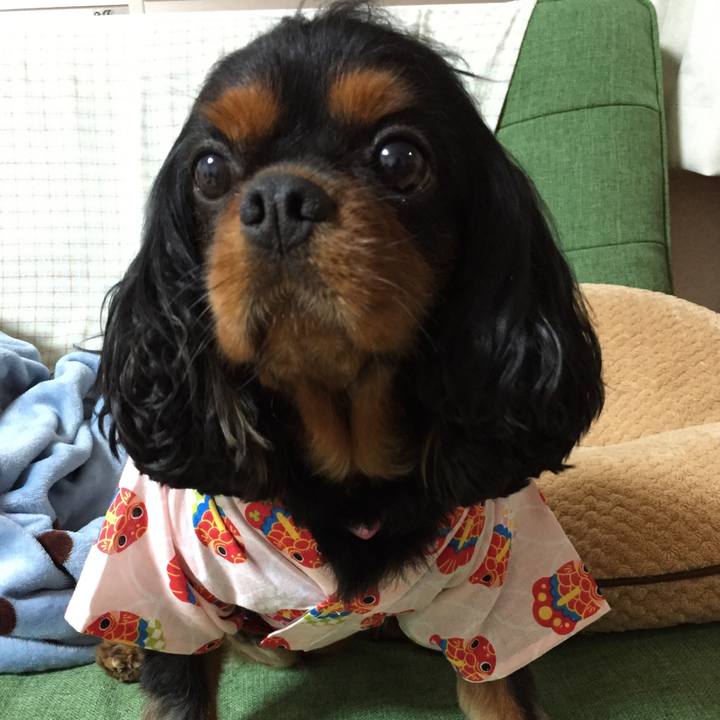 Db0f333a 1089 479e 9801 fb1f756f3c1a