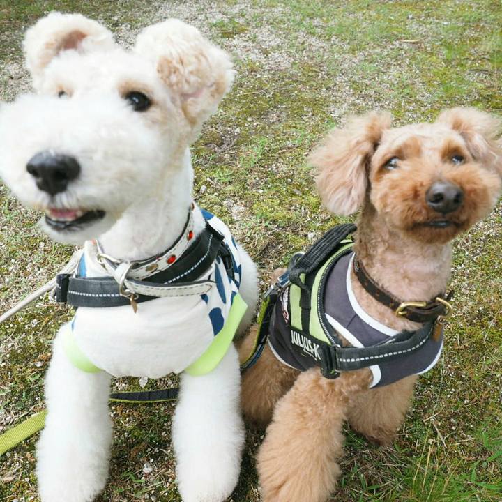 Db0f42b4 e06b 41c9 ad2c b21a458dbda6