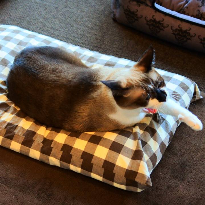 Db0fb879 b85c 4559 be78 d73c17f1c06b