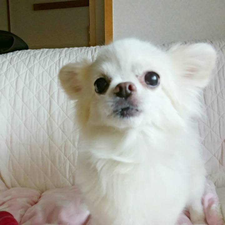 Db110ac2 49ce 428f 9f31 6b1be9464c83