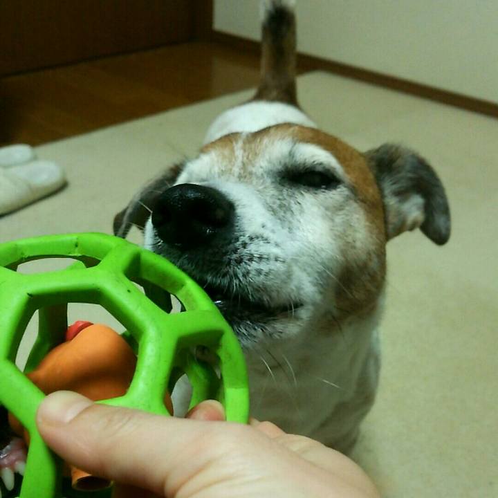 Db128341 ec00 4437 811f a1587d3f20aa