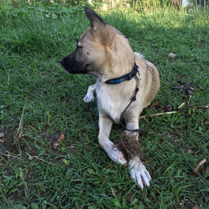 Db12a743 ef22 4860 9375 339735d70a2c