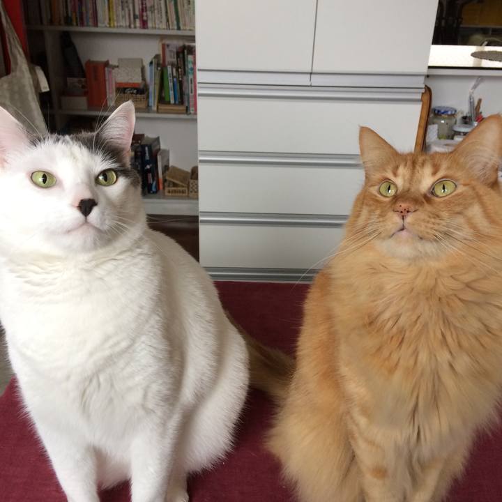 Db13306b f182 4d0f ac05 986b943abf5f