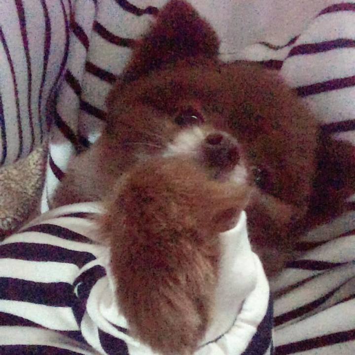 Db13d0e4 8bf7 48b3 a2f5 07b381b7f0f9