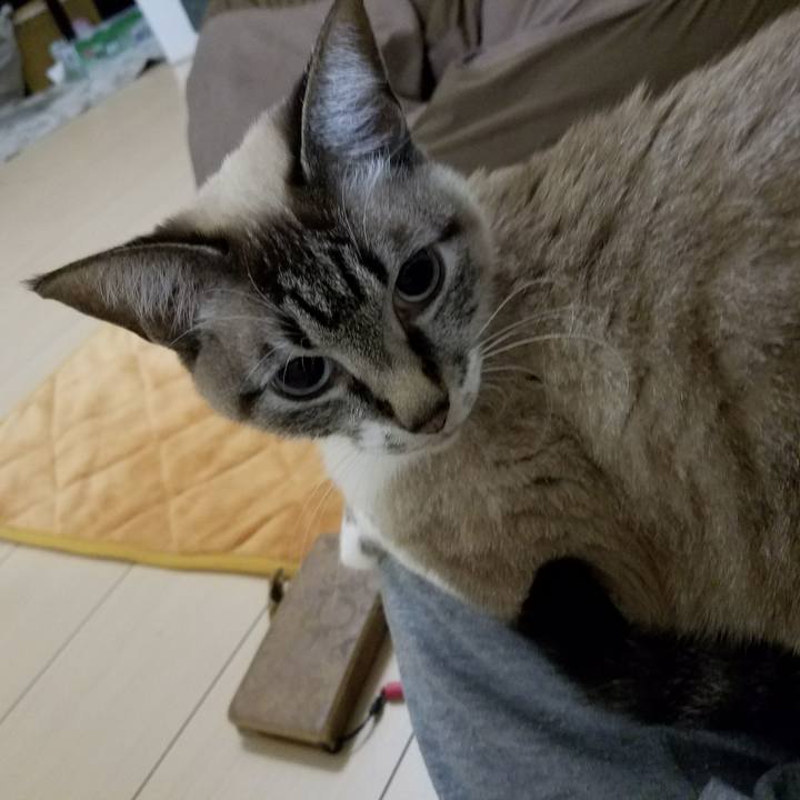 Db14fb21 8784 41c8 9755 1cb2f352058c