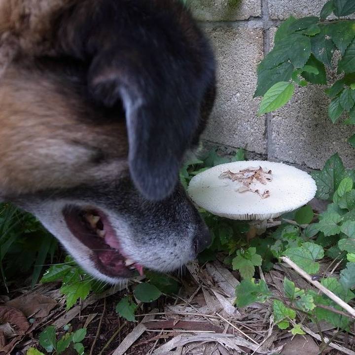 Db15253f 6b2f 4089 be93 91ceacb53b2b