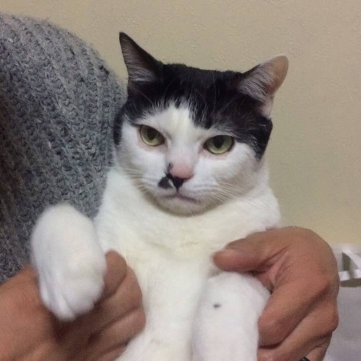 Db156e1f 3010 4dca a4fa 3d9dd116a55f