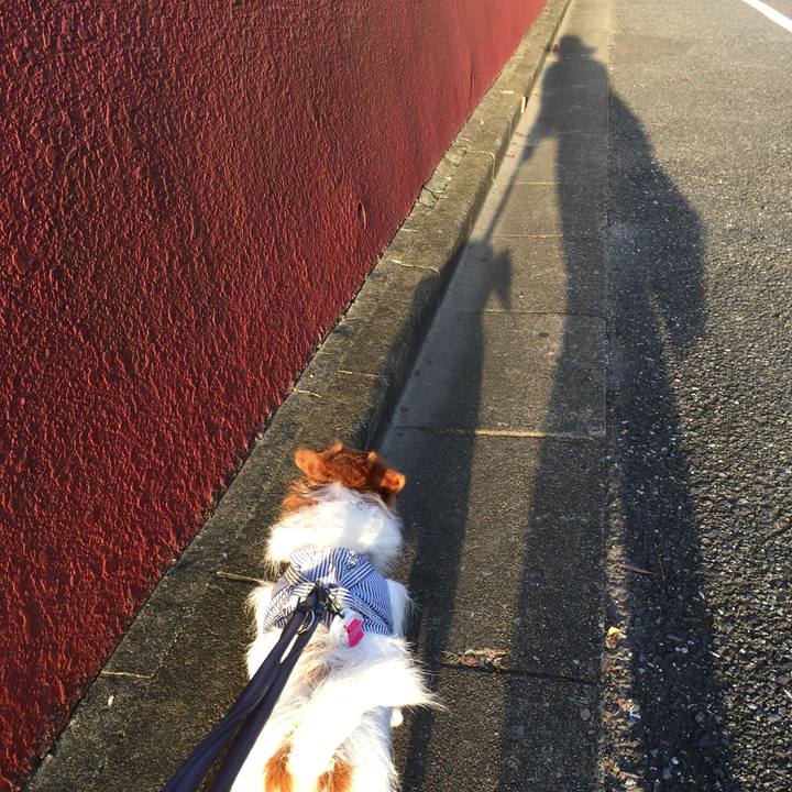 Db15a8d0 6453 4015 b494 dbc3ff2661fd