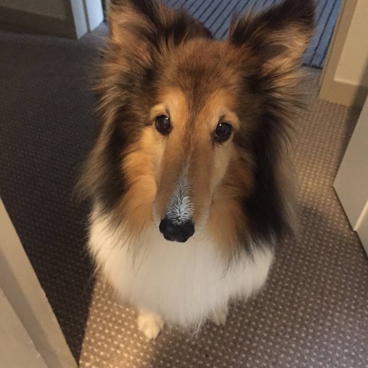 Db15b468 87d2 4f5b 93b5 5ecbde85690f