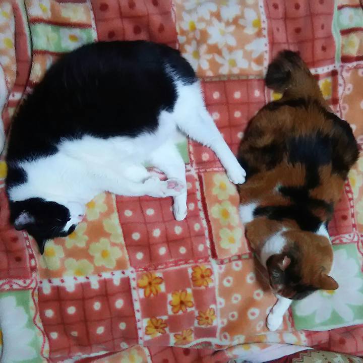 Db164a9d 1d0f 47ef 945c c8bfbc1a8b7c