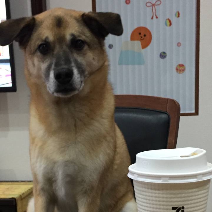 Db17abd4 3f15 4eb5 9241 1cf1086ea543