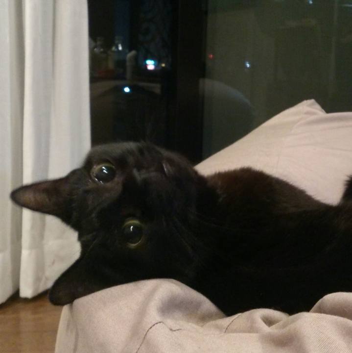 Db17eaf9 bc39 4247 9e10 d075665b57e5