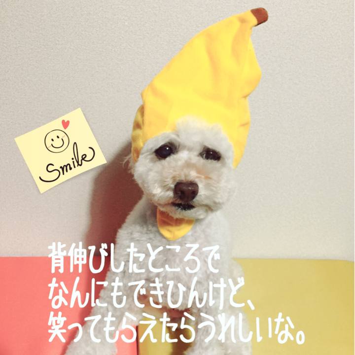 Db180d92 8455 40de a475 69d7440b67f1