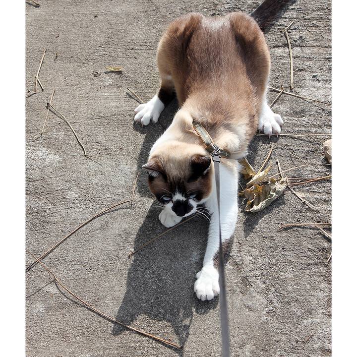 Db180e0e 5daf 4fac 9b65 67abd6f139c1