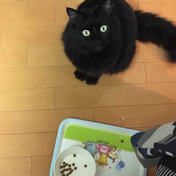 Db19ee35 2219 4ed6 b5ea a738cc71c12d