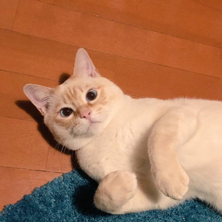 Db1a18f8 4043 42de a216 653c07397f97