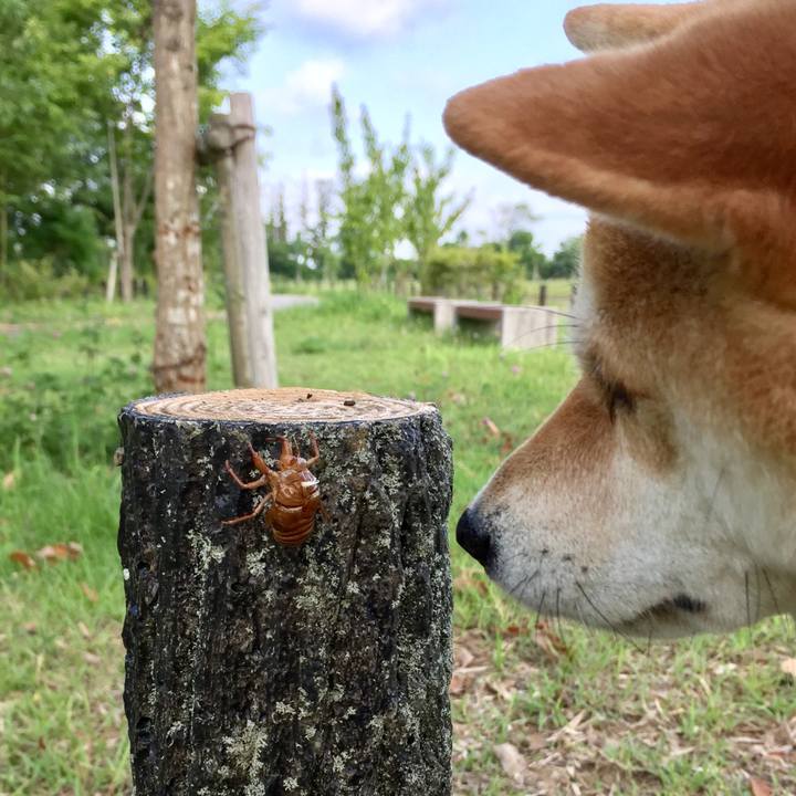 Db1a401b 7b83 4e0a b7eb 1ac6a12006ba