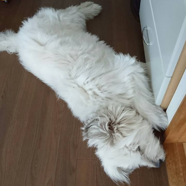 Db1a71a5 0bf9 4cac 909f 988f14cf29f3