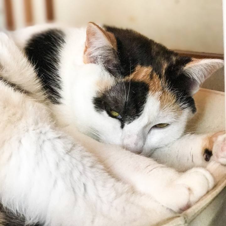 Db1aef2e 2beb 4263 92d6 199e27ac1880