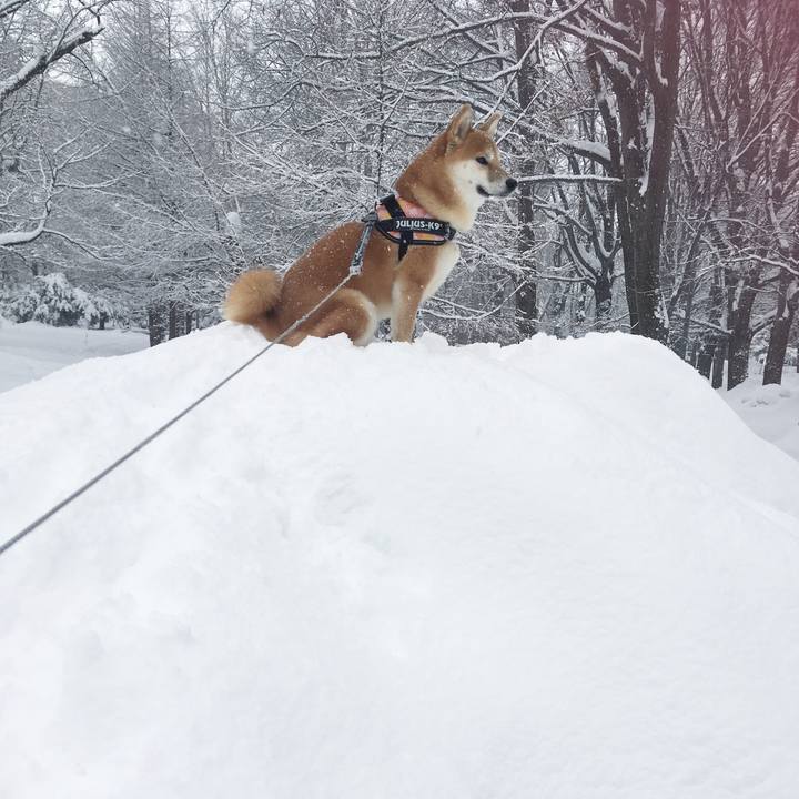 Db1b8355 3161 4f59 8a23 0596a1e67a84