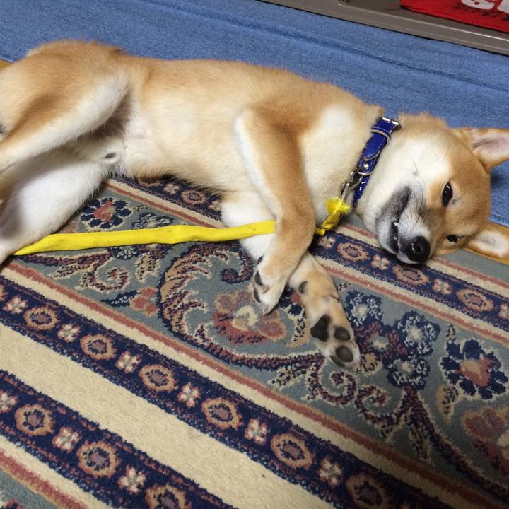 Db1bc43c 39dc 4e66 967f cba3d691bf44