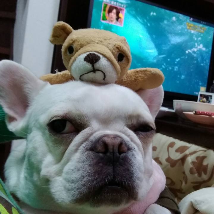 Db1bdc40 0bdd 40a0 875f 348028923b6c