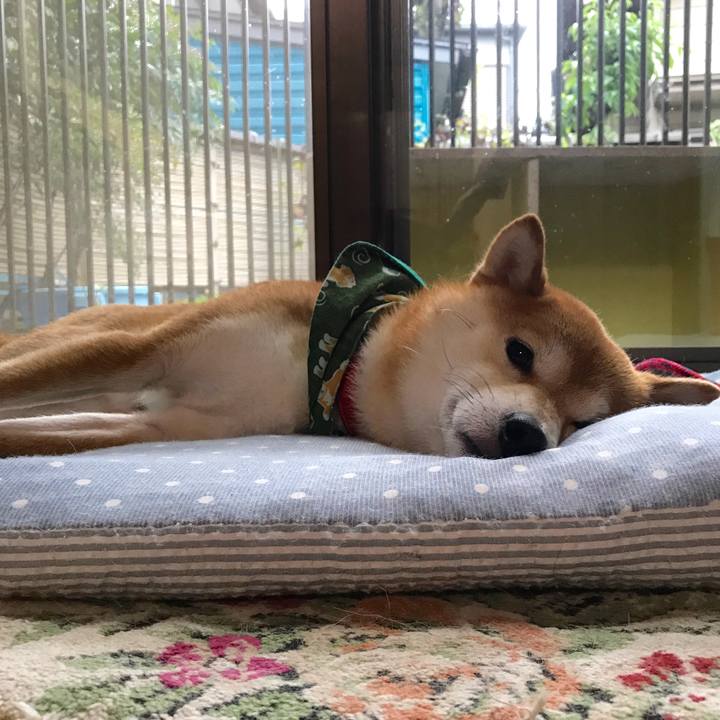 Db1bf509 39cb 44e1 a88c 19dd5517cd48