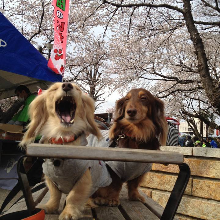 Db1c4c6f f08a 412d a8b7 eb8c7d9ecb13