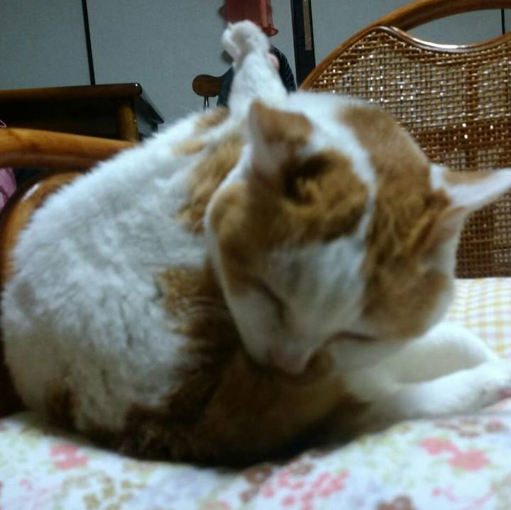 Db1d257c 4ed0 44dc b128 67e24941ca11