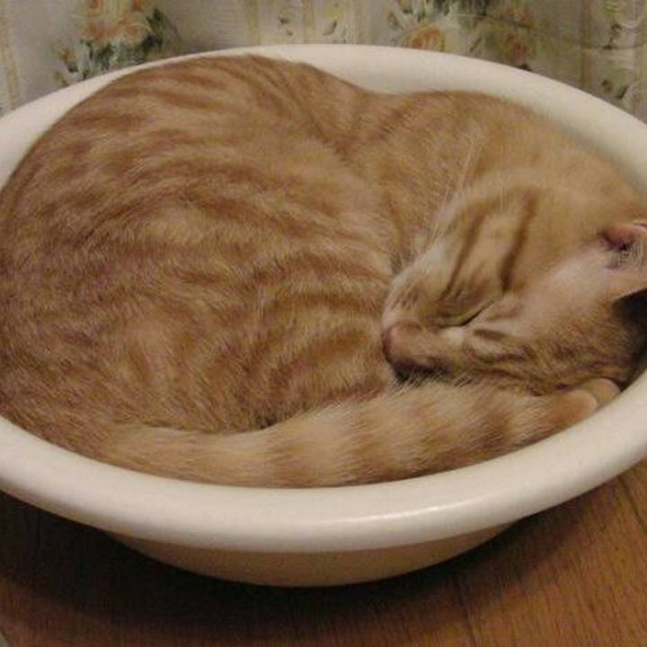 Db1d5b3e fa4e 4d70 97cd 1b970a6ca028