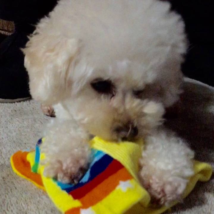 Db1d5d51 7832 4946 9e90 dcdd10221c05