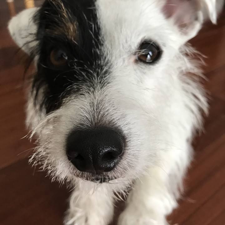 Db1ea6c6 333c 4918 9d84 14c62dc86e14