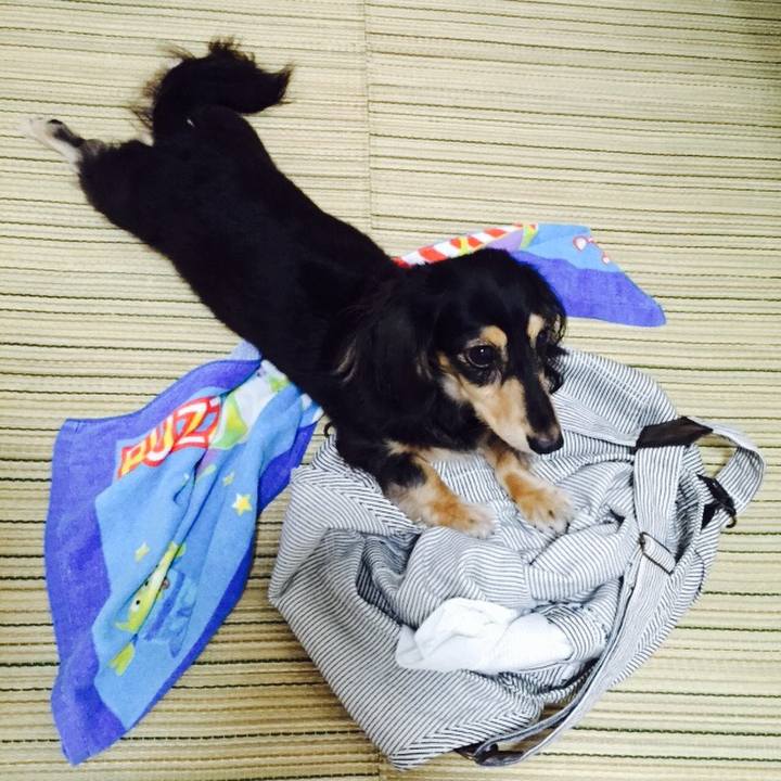 Db1efbdc 1be6 4582 910d 412f38e021dd