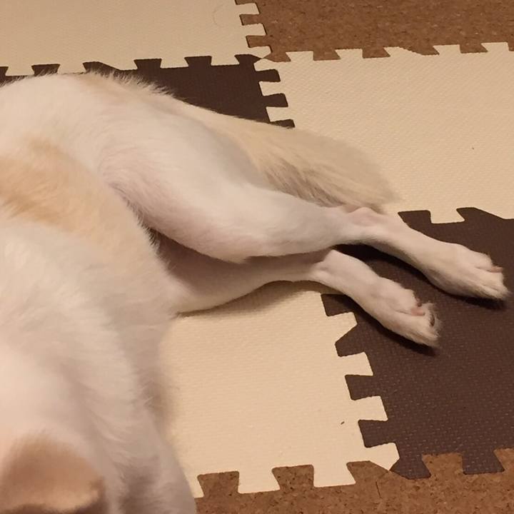 Db1f104c 3006 4baf 8281 70f04f07c42e