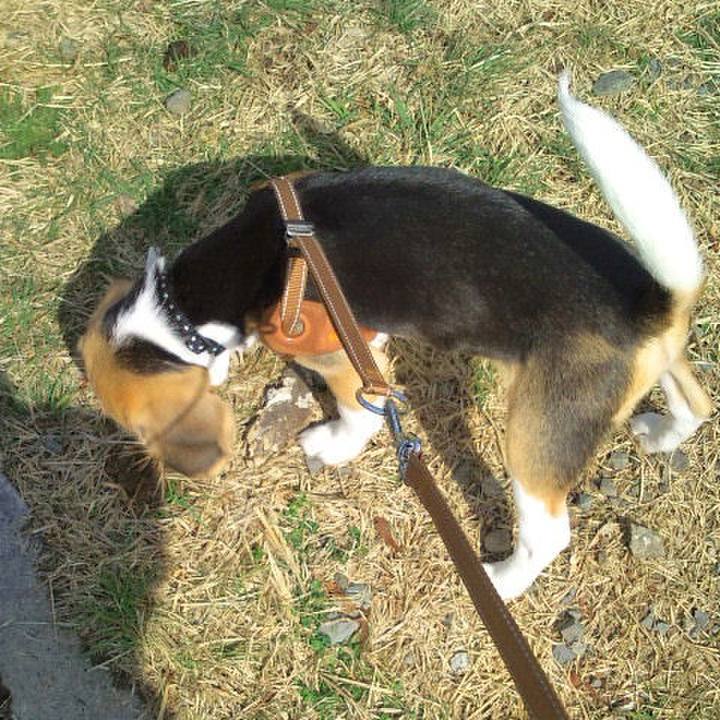 Db1f4c24 52b1 4d96 b0e8 18a1f4e08f65