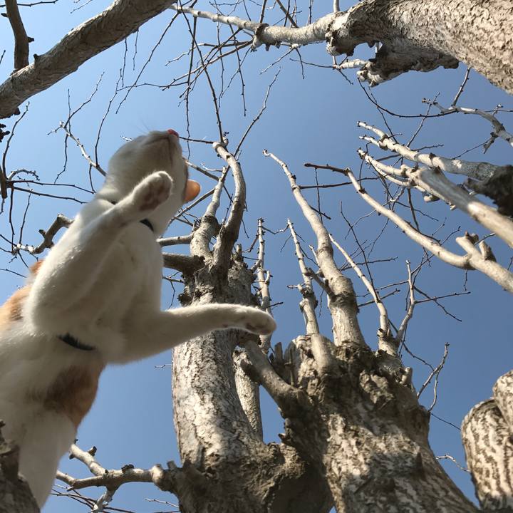 Db206f30 760c 4b66 8a08 7e53b044af41