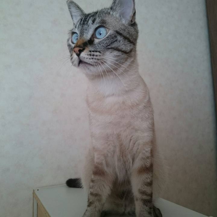 Db20fa36 af0a 4ee9 9270 d7f57cb44592