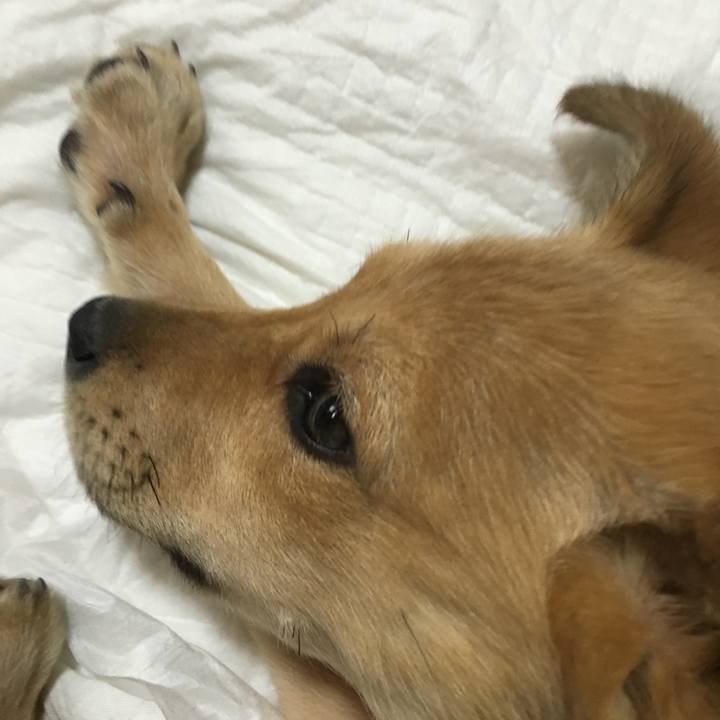 Db21b02b 547d 473c a882 1638207a8e44