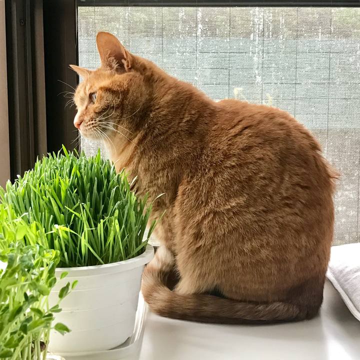 Db2216ee 96e3 476f b9d6 c07a2d80ff67