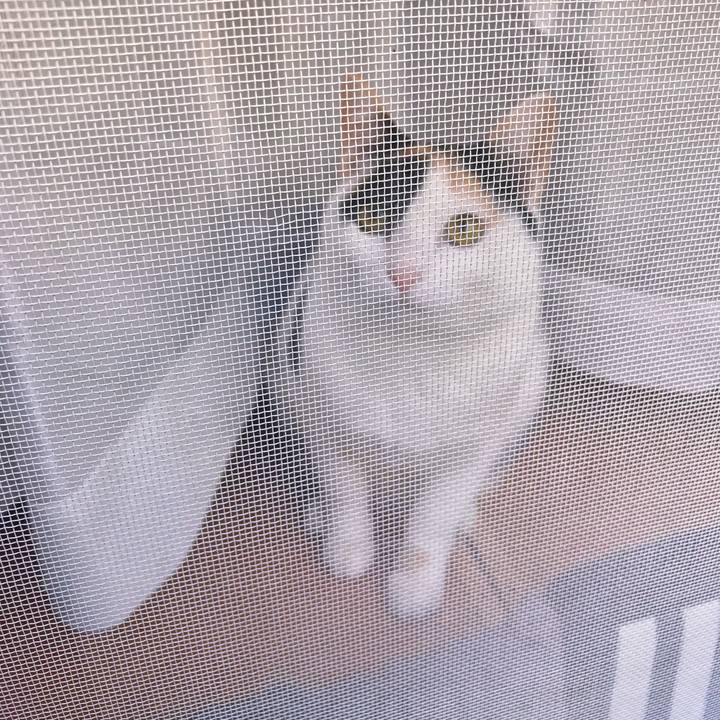 Db22a4d3 3afc 4c81 b61b 6e96305c4cb9