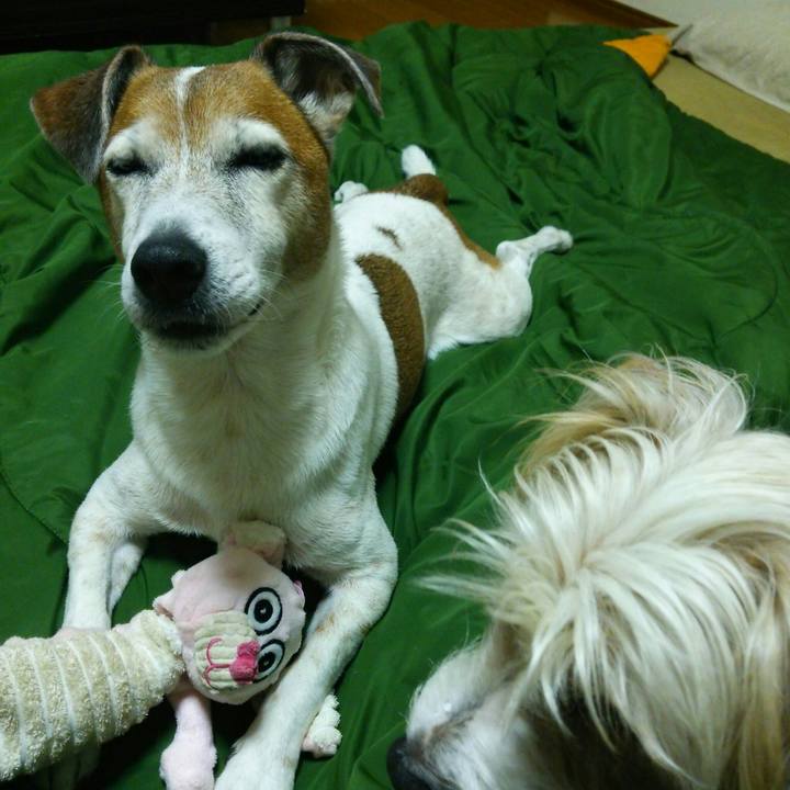 Db238041 4607 4f2a a6fb f93b2b575395