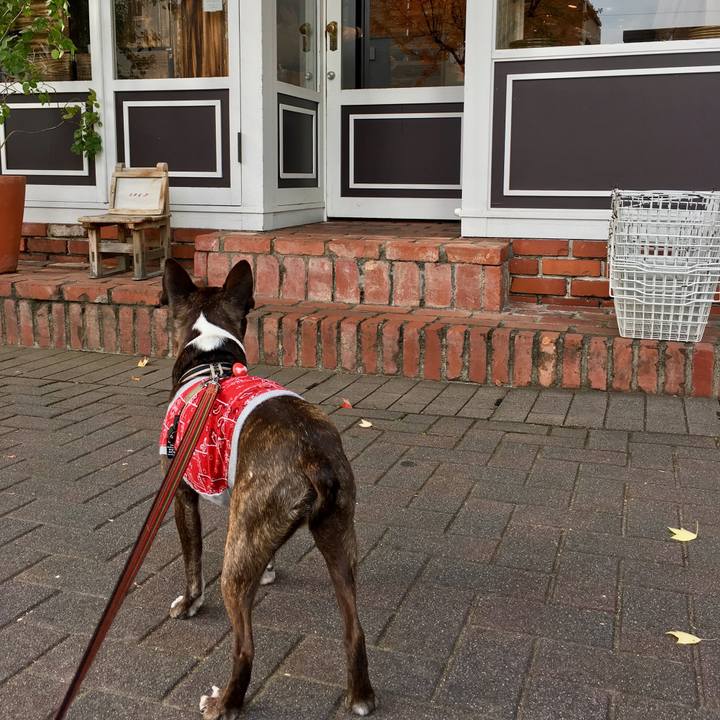 Db23bdf9 16c4 4e2c be80 aa31ae2edefe