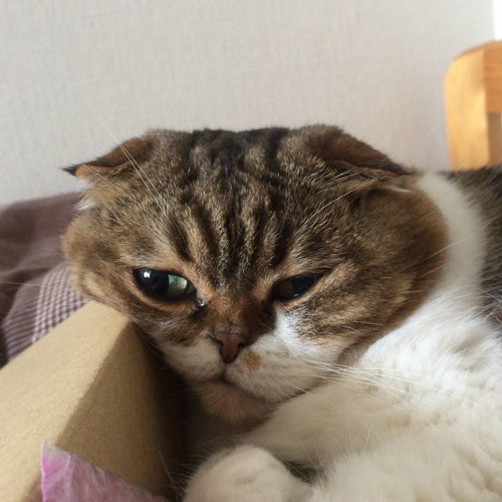 Db23e742 b221 46f7 be9a 1d36c90ba151