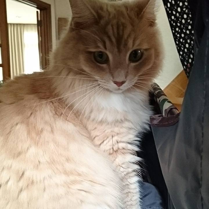 Db23ef8f 0d66 448f be06 e0da51444aef