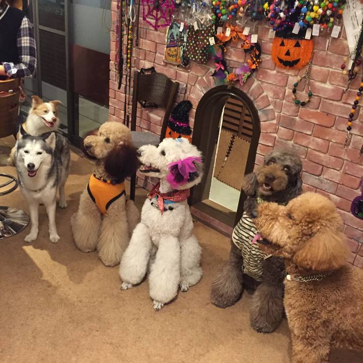 Db241f69 5aad 4ca8 a1a6 d1f96a398009