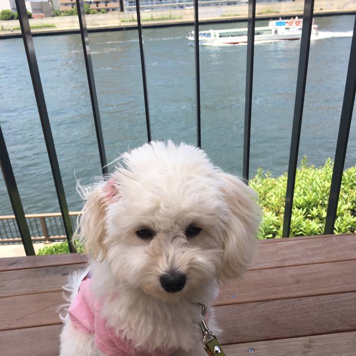 Db248c7b ebc2 49b9 834d f8354cbaa899