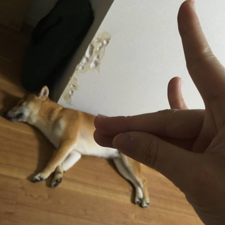 Db249a26 1363 4e59 ab99 8bbd85b55742